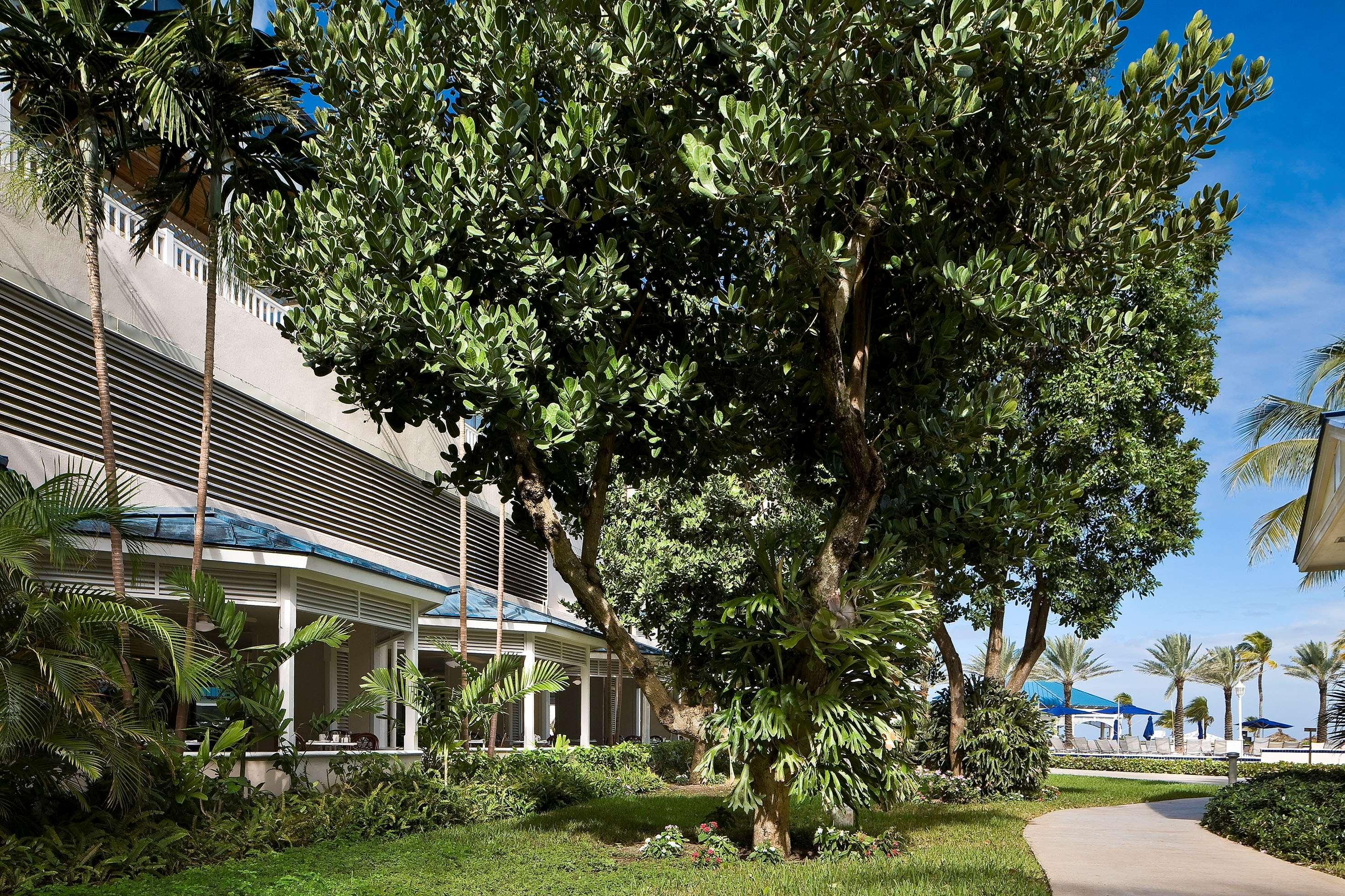 Meliá Nassau Beach – All Inclusive Exterior foto